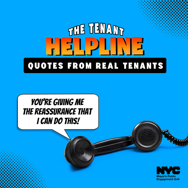 The Tenant Helpline, Quotes from Real Tenants: "You're giving me the reassurance that I can do this!"